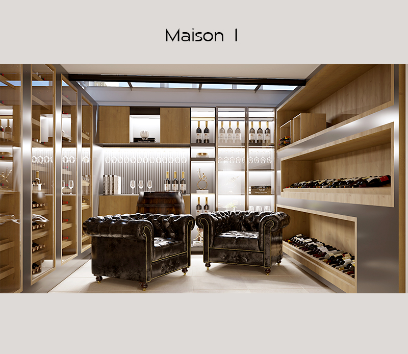fb-archi-diapo-creation-de-2-maisons-de-ville-48-3d-sous-sol-cave-a-vin